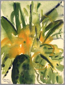 Primroses, 2005