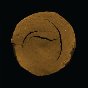 Cracked Earth Form