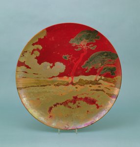 Unknown Image