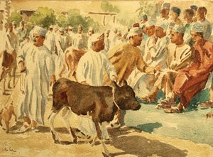 Cattle Market, Nizwa, Oman