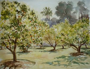 Mamounia, Orange Groves, 2000 by Clive Wilson