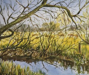 Water Meadows, Kintbury, Early May Afternoon by Clive Wilson