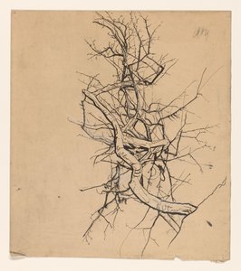 Tree Study by Coba Steenhoff