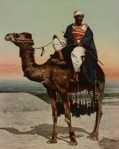 A Bedouin, Cairo, Egypt