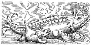 Breastfeeding whale and sea pig by Conrad (after) Gesner