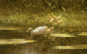 Duck with Ducklings on the Riverbank