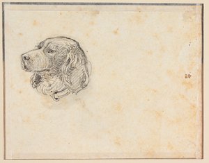 A Dog