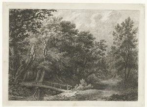 Forest Scene with Wooden Bridge