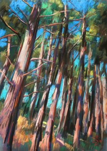 Dappled Forest Light by Corné Akkers