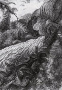 Dark Forest Stream Flow by Corné Akkers
