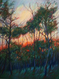 Forest Sunset Glow by Corné Akkers
