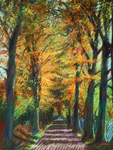 Golden Autumn Avenue by Corné Akkers