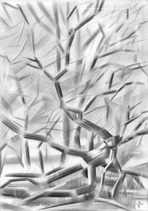 Stark Winter Trees