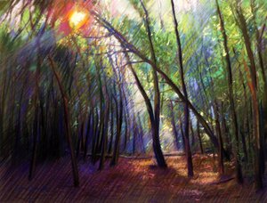 Sunlight Through Trees by Corné Akkers