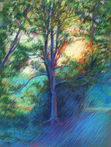 Sunlit Forest Path by Corné Akkers
