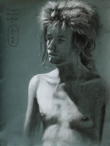 Wild Hair Shadow Portrait by Corné Akkers