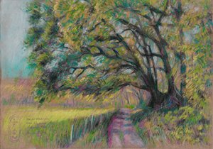 Winding Country Path