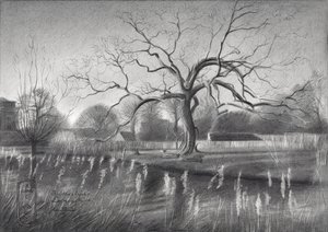 Winter Tree Reflections