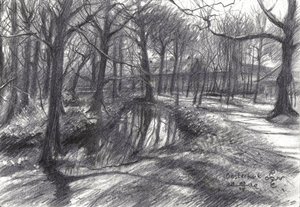 Winter Woodland Stream by Corné Akkers