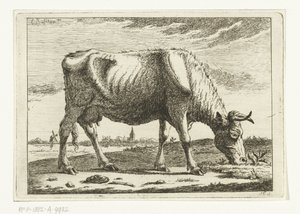 Landscape with Grazing Cow by Cornelis  Bisschop