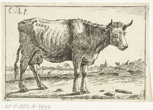 Landscape with Cow by Cornelis  Bisschop