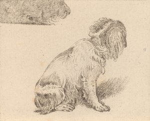 Seated Dog by Cornelis Brouwer