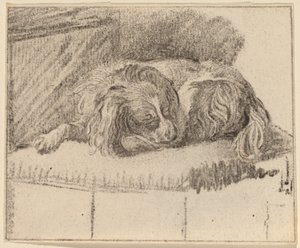 Lying Dog by Cornelis Ploos van Amstel