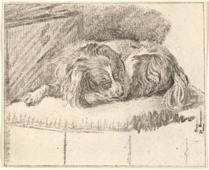 Sleeping Dog, 1777 by Cornelis Ploos van Amstel