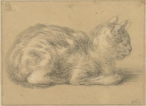 Seated Cat, Facing Right by Cornelis Saftleven (possibly)