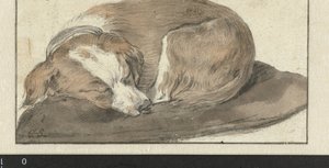 Sleeping Dog