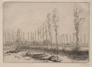 Near Amiens, the Peat Bogs