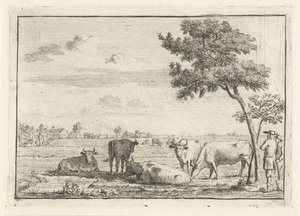 Five Cows in a Meadow by Cornelis van Noorde
