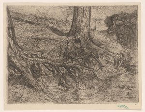 Tree Roots by Cornelis van Steenwijk