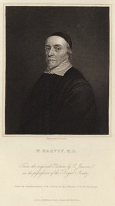 William Harvey by Cornelius Janssen van Ceulen