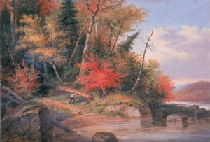 Unknown Image by Cornelius Krieghoff