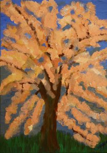 Cherry Blossom, Spring London by Cosima Duggal