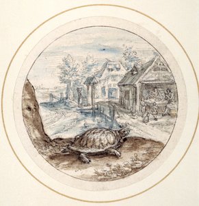 Tortoise, Early 17th Century