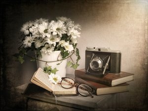 Vintage Still Life
