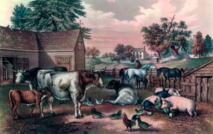 American Farm Yard in the Evening