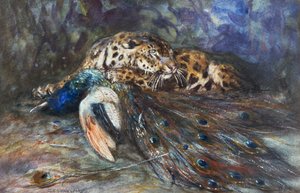 Jaguar with Peacock