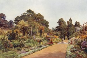 The Centre Walk, Claremont, looking North