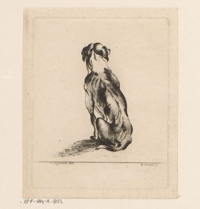 Sitting Dog Seen from the Back by D. Merrem