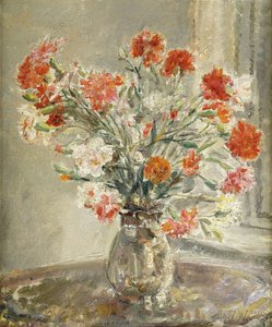 Carnations