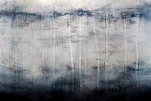 Birch Mist by Dan Hobday