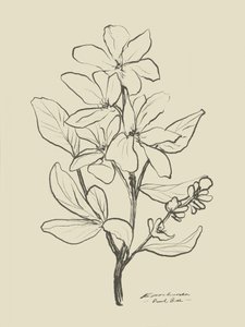 Floral 1 by Dan Hobday