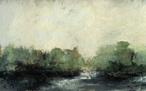 Forest Stream by Dan Hobday