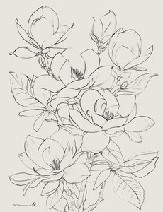 Magnolia Tree