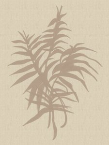 Plant Neutral