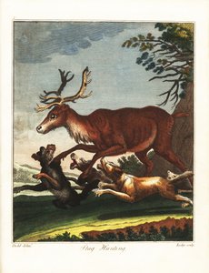 Stag Hunting by Daniel (after) Dodd