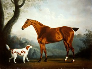 Bay hunter and spaniel in a wooded landscape